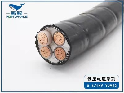 鎧裝YJV22電纜